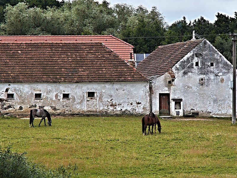 Zonevreemde woningen